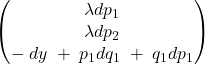 \begin{pmatrix} \lambda dp_{1} \\ \lambda dp_{2} \\ -\; dy\; +\; p_{1}dq_{1}\; +\; q_{1}dp_{1} \\\end{pmatrix}