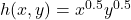 h(x, y) = x^{0.5} y^{0.5}