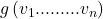 g\left( v_{1}.........v_{n} \right)