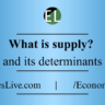 What is supply